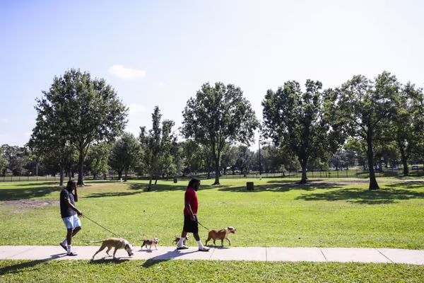 Dog Park at Lafreniere Park
